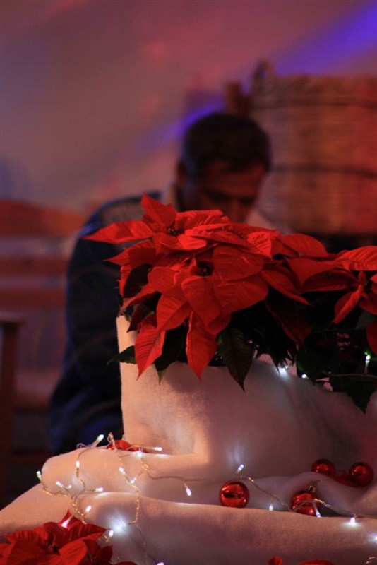 Arnaoon Christmas Village